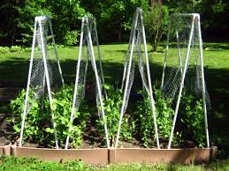 We did not find results for: Pvc Pea Trellises