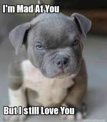 The 40 Best I Love You Memes That Are Cute Funny Romantic All At The Same Time Funny Dog Memes Love You Meme Funny Animal Jokes