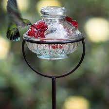 I only recommend them for use in flower pots where, if needed, you can create a moat by. Pot De Creme Glass Stake Hummingbird Feeder Yard Envy