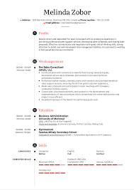 A brief summary is used to outline the job seekers career experience. Pre Sales Consultant Resume Sample Kickresume