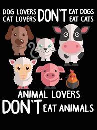 Pin On Vegan Stuff