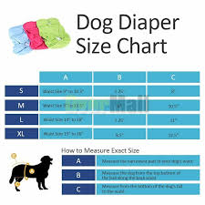 Details About 3pcs Washable Dog Diaper Female Pet Pant Reusable Puppy Doggie Diapers S M L Xl