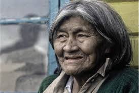 Formación del Oroclino Patagónico y evolución paleogeográfica del sistema  Patagonia-Península Antártica