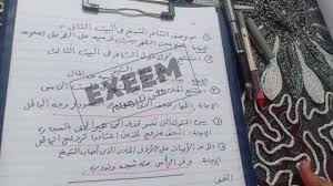 نسبة عدد متحدثيها 18.05%، وعددهم يتجاوز المليار تقريبا، وهي لغة الصين ذات أكبر تعداد سكاني في العالم، واللغة الصينية ليس لديها أبجدية، وإنما يستخدمون رموزاً توضيحية، كل كلمة لها الرسم التخطيطي الخاص بها. Wpqklhwlfy4nam