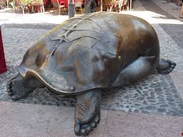 Schildkrotenmann In Malcesine Gardasee Malcesine Gardasee Gardasee Schildkrote