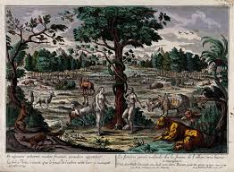 They lived in the garden of eden paradise and had the fruit of all the other trees to eat, so why did adam and eve eat the forbidden. A Summary And Analysis Of The Garden Of Eden Story Interesting Literature