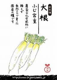 国産 自然農法種子 固定種 ナチュラルライフステーション の通販 販売