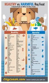 What Food Is Toxic To A Dog Lots Of Helpful Pinnable Charts