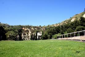 L'alumnat de 4t d'eso de l'institut montjuïc ha fet una activitat de recuperació de la memòria històrica. Tot Passejant El Fossar De La Pedrera
