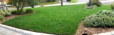 Specific bare patches can be reseeded without. Overseeding Your Lawn 11 Tips That Actually Work Diy Lawn Expert
