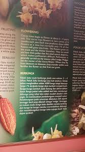 Mencantas dahan pokok yg menghalang signboard ft4 #tanahmerah #jeli sec280 @friendsofjkr @rakankkr pic.twitter.com/jcsca5levn. Beryl S Chocolate Story Picture Of Beryl S Chocolate Story Penang Island Tripadvisor
