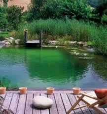 23 Natural Swimming Ponds And Pools Shelterness