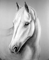 Works in progress, simple sketches, or finished pieces. Horse Head Animals Drawings Pictures Drawings Ideas For Kids Easy And Simple