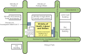 Asia health care companies (top 10k). Ministry Of Health Labour And Welfare Guide Chart