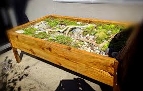 Terrarium coffee tables are both functional, and fabulous — here's how to make one. Almost Done With My New Coffee Table Terrarium More Pics In The Comments Terrariums