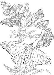 Supercoloring.com is a super fun for all ages: Pin On Coloring Pages For Adults