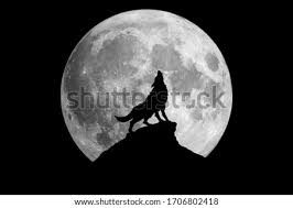 We did not find results for: Shutterstock Puzzlepix
