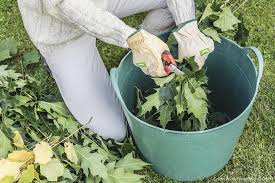Sur les tomates pour la taille des tomates il est particulièrement apprécié par les plantes et la planète vous connaissez les gourmands que d'1/3. Engrais Naturel Engrais Bio Comment Les Faire Soi Meme Detente Jardin