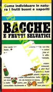 Bacche, foglie, gambo… una goccia del suo succo provoca una grave irritazione della pelle. Bacche E Frutti Selvatici By Cretti Luciano From Libreria Piani Snc Sku 2 98586