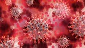 ^ virus de marburgo y ébola; 6jjqpdhh Gnijm