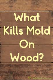 What Kills Mold On Wood In 2020 Mold Remover Wood Mold Prevention