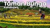 Taman bunga kampung jambu objek. Wisata Di Pandeglang Taman Bunga Pandeglang Banten Kampung Jambu Spot Selfie Terindah Youtube