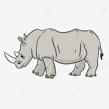 The language point page for episode 49. Cartoon Style Gray Cute Rhino Clipart Rhino Clipart Cartoon Rhinoceros Png Transparent Clipart Image And Psd File For Free Download
