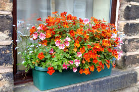 Feb 22, 2021 · you get a pop of color and a unique feature that gives your house more character. Install A Window Box Planter For Instant Curbside Appeal Modernize