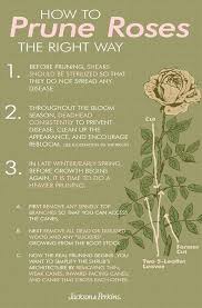 A Flower Garden Is Every Gardener S Pride And Joy Whether You Re Someone Who Participates In Neighborhood Gardening Rose Garden Design Flower Garden Rose Care
