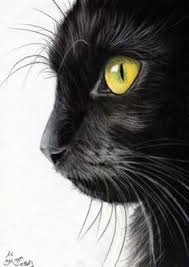 Black Baby Kittens With Green Eyes Kitty Black Green Eyes Picture Black Cat Painting Black Cat Drawing Cat Painting