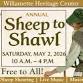 Sheep to Shawl