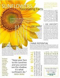 Sunflowers Fascinating Facts Sunflower Facts Sunflower Quotes Sunflower