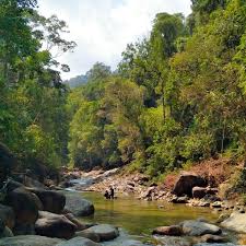 If you at the lata kolam air deru ecopark then it only took 5 minutes drive away to la hot spring. Photos At Lata Kolam Air Deru Ecopark Jerteh Terengganu