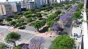 Día de la independecia de argentina. How To Celebrate Dia De La Independencia Like An Argentine