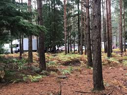 Memiliki sepasang mata berwarna coklat. The Witcher Season 2 Ciri Is Filming In An English Forest With Smoke And Fake Snow Redanian Intelligence