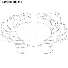 Learn how to draw a crab with simple step by step instructions. How To Draw A Crab