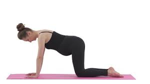 A number of years ago a friend of mine went to a new yoga class. Yoga Asana In Sequence Camel Stock Footage Video 100 Royalty Free 1109242 Shutterstock