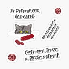 A google search result that confirmed cats can have a little salami, but _only_ as a treat. Is Salami Ok For Cats Cats Can Have A Little Salami Meme Poster By The Goods Redbubble