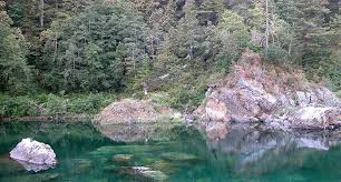 Many santa cruz mountains residents say the parking situation along highway 9 is a tragedy waiting to happen. 5 Sweet Swimming Holes Under The Redwoods Save The Redwoods League