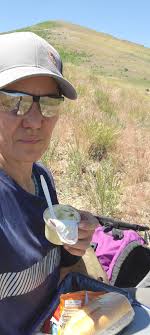 Walking trails made by elk at work