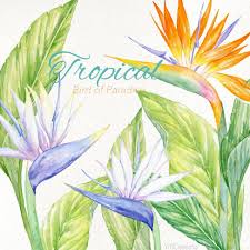 Watercolor Bird Of Paradise Png Bird Of Paradise Clipart Wedding Elements Watercolor Tropical Flower Digital Bouquet Green Leaves Strelitzia Arrangement Botanical Png Bird Of Paradise Wedding Birds Of Paradise Flower Green Wedding Bouquet