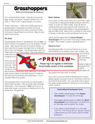 We did not find results for: Grasshoppers Super Teacher Worksheets Pages 1 5 Flip Pdf Download Fliphtml5