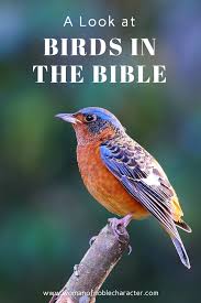 Symbolism Birds And Their Meanings Birds In The Bible A Look At Doves And Sparrows In Scripture Sparrow In The Bible Bible Bible Study Printables