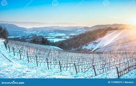 142 Chianti Snow Stock Photos - Free & Royalty-Free Stock Photos from  Dreamstime