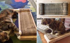 Now this is a cool idea! Easy To Make Cardboard Cat Scratching Pad