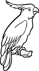 coloriage a imprimer un perroquet parrot drawing bird drawings animal stencil pikachu