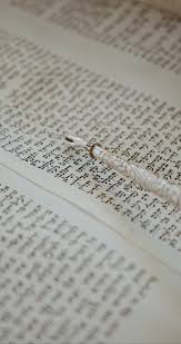 Download book 1818 jews torah bible pdf. 90 Best Torah Videos 100 Free Download Pexels Stock Videos