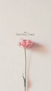 خلفيات ايفون ورد جميلة جدا iphone flower background iphone wallpaper flower backgrounds wallpaper