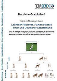 Kosten beim tierarzt mit hund: Dna Test Hund Rassebestimmung Ihres Hundes Dank Dna