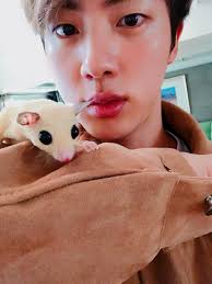 Pin De Mayhem Wyld En Bts Jin Seokjin Bts